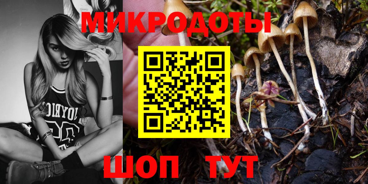 Псилоцибиновые грибы MAGIC MUSHROOMS  Вход с VPN  Люберцы 