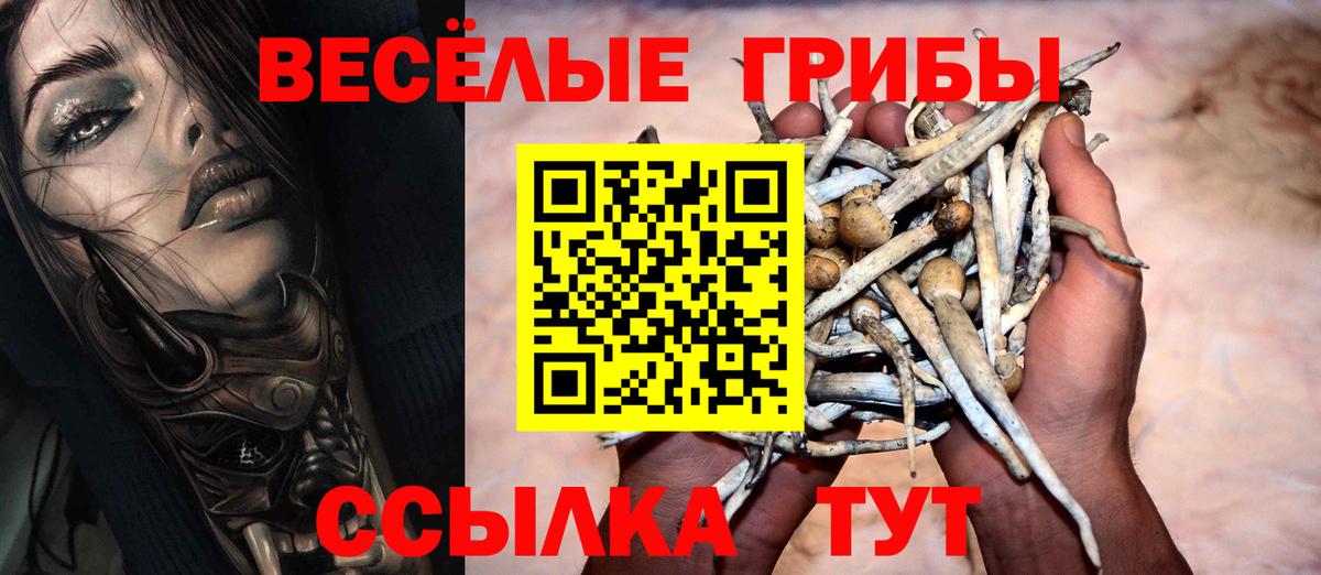 Псилоцибиновые грибы GOLDEN TEACHER Люберцы